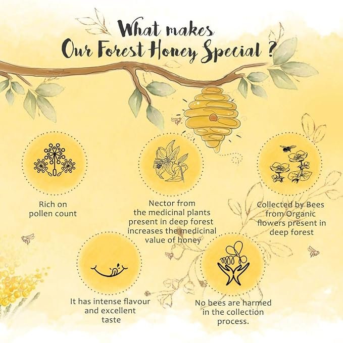 The Honey Shop Raw Organic Forest Honey, Wild, Unprocessed, Unheated, Non Pasteurized, Original Honey 100% pure and Natural, Collected From Deep Forest Apis Dorsata (700g) - Pack of 1 - Image 2