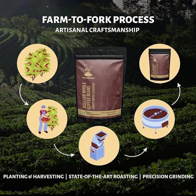 MokkaFarms Roasted Whole Coffee Beans - 100g | 100% Robusta | Medium Dark Roast, Sundried/Cherry, A/AA Grade | Freshly Roast Estate Coffee | Strong Flavor & Aroma | Farm to Fork Quality - Image 3